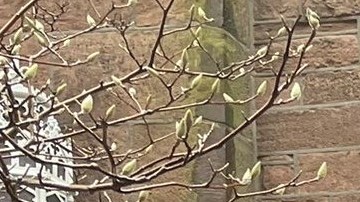 La trabajadora doméstica Verónica Leal toma la palabra durante la manifestación en la  ‘Church of the Ascension’.