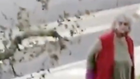 VIDEO: Califican como "Karen" a anciana fisgona que invadió propiedad para reprender a niños
