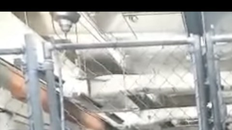 VIDEO: Comparan a Gobierno de AMLO con el de Trump por migrantes en jaulas en México