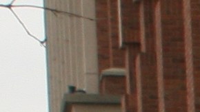 Los centros masivos de vacunación empiezan a observar un estacamiento en el número de citas.