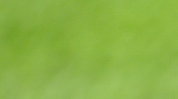 Yadier Molina extiende una racha en 2021