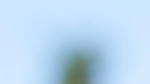 Muchos abuelos cuidan de sus nietos.