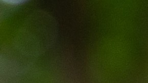 Abuso anciana residencia