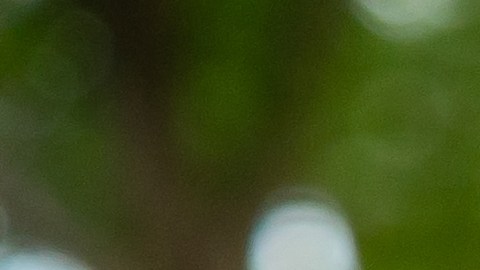 Abuso anciana residencia