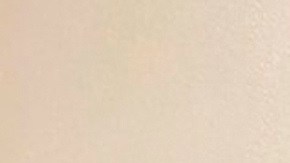 Sospechoso de tiroteo salones de masajes en Atlanta