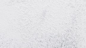 Pechuga de pollo a la plancha