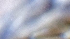 PETA denuncia crueldad animal contra serpientes