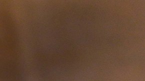 Solo tienes que hacer clic en un enlace y llenar un formulario. Si lo haces lo suficientemente rápido, ganarás 10 waffles gratis.