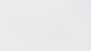 Muerte novia embarazada