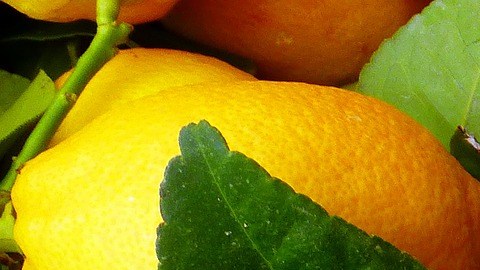 Limones