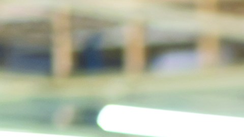 Hostos CEWD ofrece una amplia gama de cursos y certificaciones que le permitirán cambiar o avanzar en su carrera en industrias de alta demanda, incluyendo Allied Health, Cab, Licencias de Conducir Comercial e Individual, Tecnología Informática, Construcción, Consejería, Artes culinarias, Dental, Fitness y Nutrición, Finanzas y Negocios, Control de Plagas, Bienes Raíces, Oficial de Seguridad, Seguridad del Sitio, Oficios Certificados y Enseñanza.