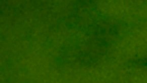 Erling Haaland es el hombre del partido... en todos los partidos.