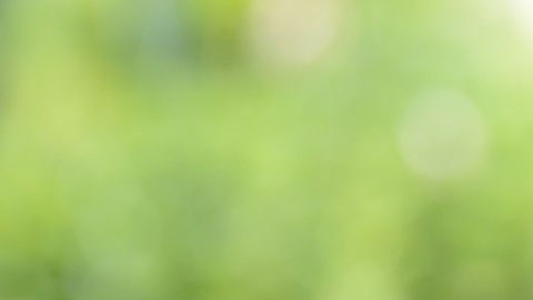 El dinero que da HUD es necesario para que miles de programas sociales sigan proporcionando viviendas asequibles, refugio y ayudas para el alquiler a personas vulnerables.