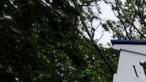 Rikers, la cárcel más grande de NYC.