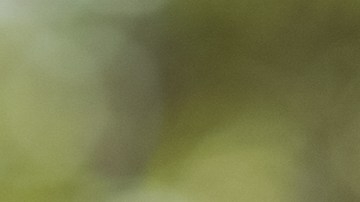 Infidelidad dar a luz