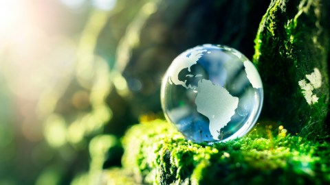 Latinoamérica Medio Ambiente
