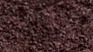 Las Grandes Ligas nuevamente manchadas por un escándalo extra campo.