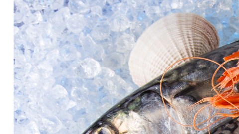 pescados y mariscos