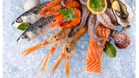pescados y mariscos
