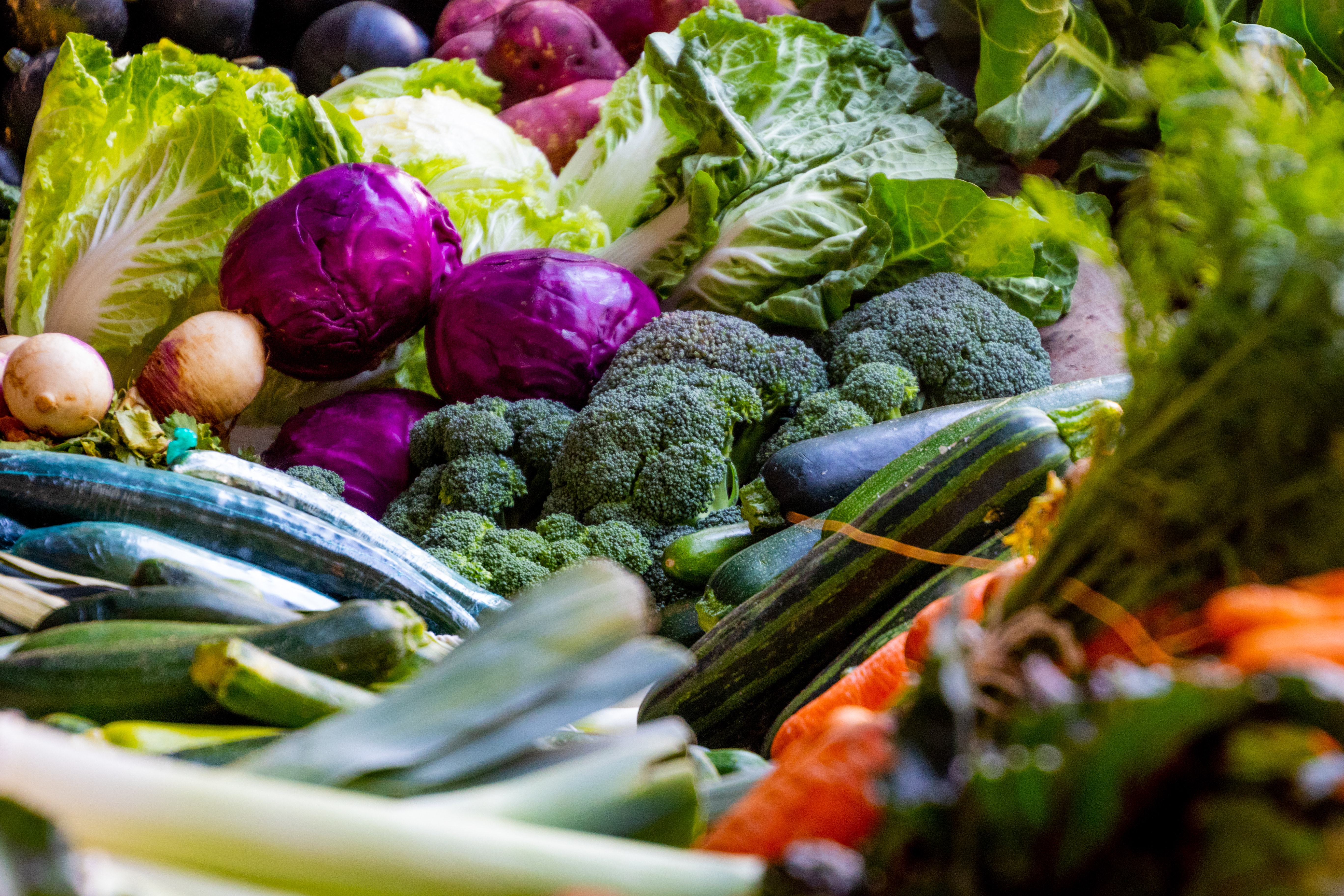 verduras coloridas