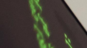 $63,000 millones de dólares han sido robados de los beneficios de seguro de desempleopexels-sora-shimazaki-5935794.jpeg