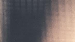 Llueven críticas en redes a Cinnamon Toast Crunch al encontrar colas de camarón en una caja de cerealpexels-steve-johnson-951340.jpeg