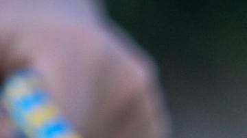 Muere bebé por ataque de pitbull