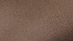 Raton en supermercado