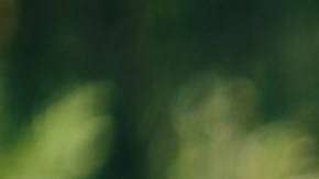 Reencuentro pareja ancianos