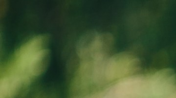 Reencuentro pareja ancianos