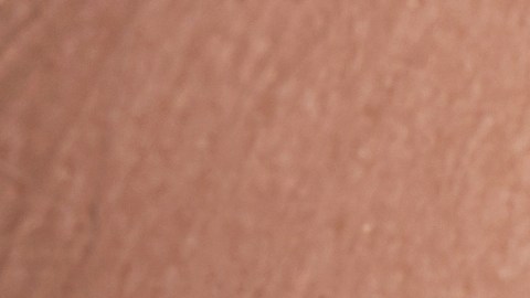 shutterstock_1660749004