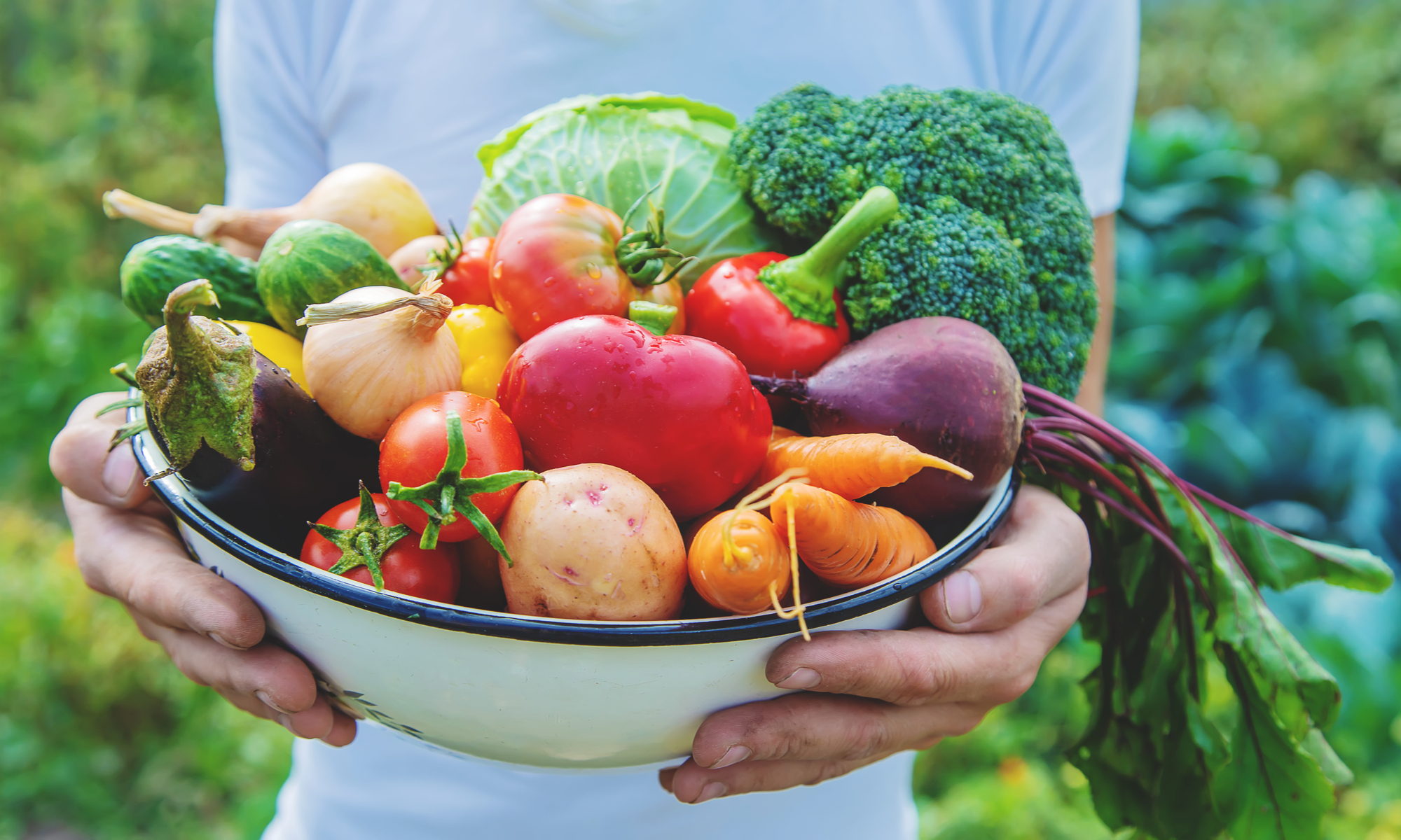 Junio es el mes Nacional de las Frutas y Verduras frescas: 10 opciones más  saludables de todos los tiempos - El Diario NY