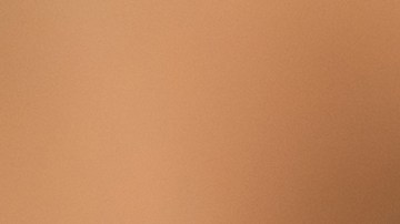 shutterstock_1767084407