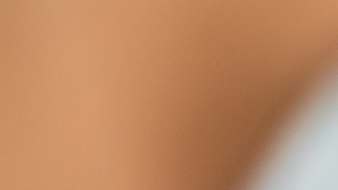 shutterstock_1767084407