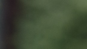 shutterstock_298534949