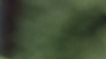 shutterstock_298534949