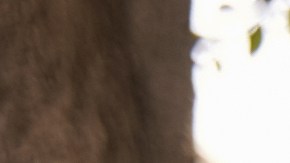 Chase ofrece ayudas a familias hispanas para la compra de su primera vivienda.