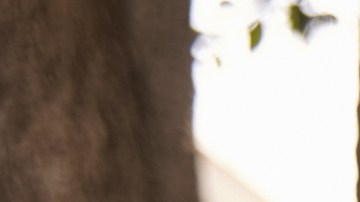 Chase ofrece ayudas a familias hispanas para la compra de su primera vivienda.