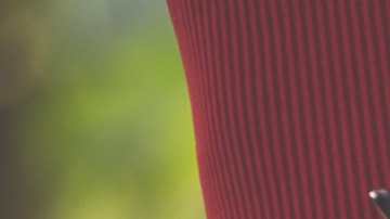 Solicitó silla de ruedas