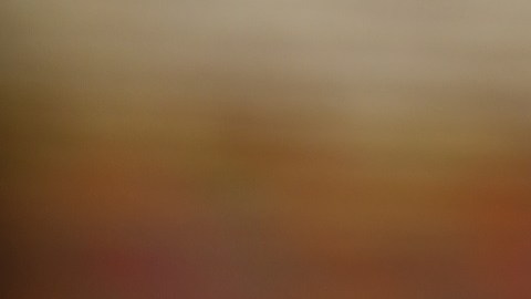 tacos de cochinita pibil