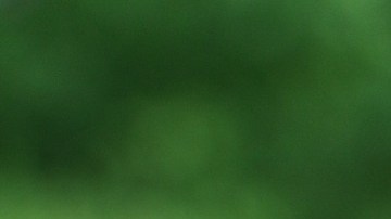 El USDA está permitiendo temporalmente que los sitios de comidas ofrezcan alimentos gratis a los niños que las deseen.