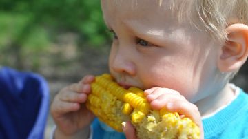 El USDA está permitiendo temporalmente que los sitios de comidas ofrezcan alimentos gratis a los niños que las deseen.