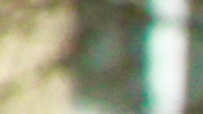 Protesta pro derechos del votante ante Corte Suprema (27-2-2013)