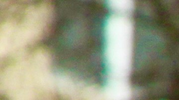 Protesta pro derechos del votante ante Corte Suprema (27-2-2013)