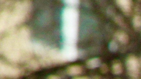 Protesta pro derechos del votante ante Corte Suprema (27-2-2013)