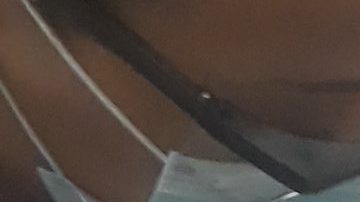 Vacunación en Javits Center, NYC.