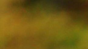 Georgina Rodríguez se ha convertido en una poderosa influencer de moda.