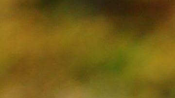 Georgina Rodríguez se ha convertido en una poderosa influencer de moda.