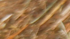 Big Boy fue rescatado.