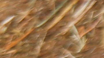 Big Boy fue rescatado.